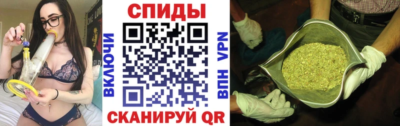 БУТИРАТ буратино  сколько стоит  Грязовец 
