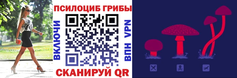darknet клад  hydra вход  Грязовец  закладки  Псилоцибиновые грибы ЛСД 