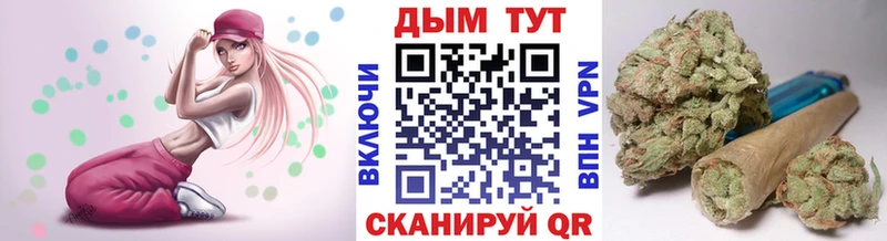 shop наркотические препараты  Грязовец  Шишки марихуана SATIVA & INDICA 